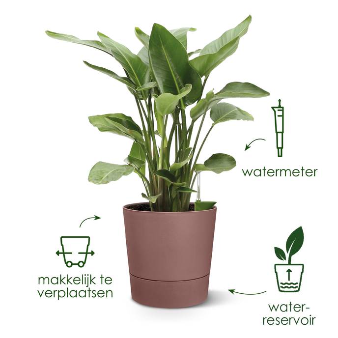 greensense aqua care rond 43cm houtskoolgrijs